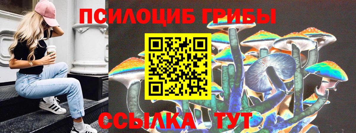 Галлюциногенные грибы GOLDEN TEACHER  купить закладку  Кострома  Вход с VPN 