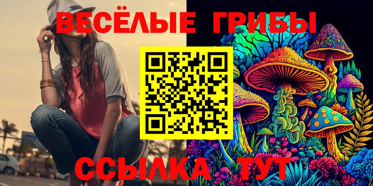 Псилоцибиновые грибы мухоморы Кострома